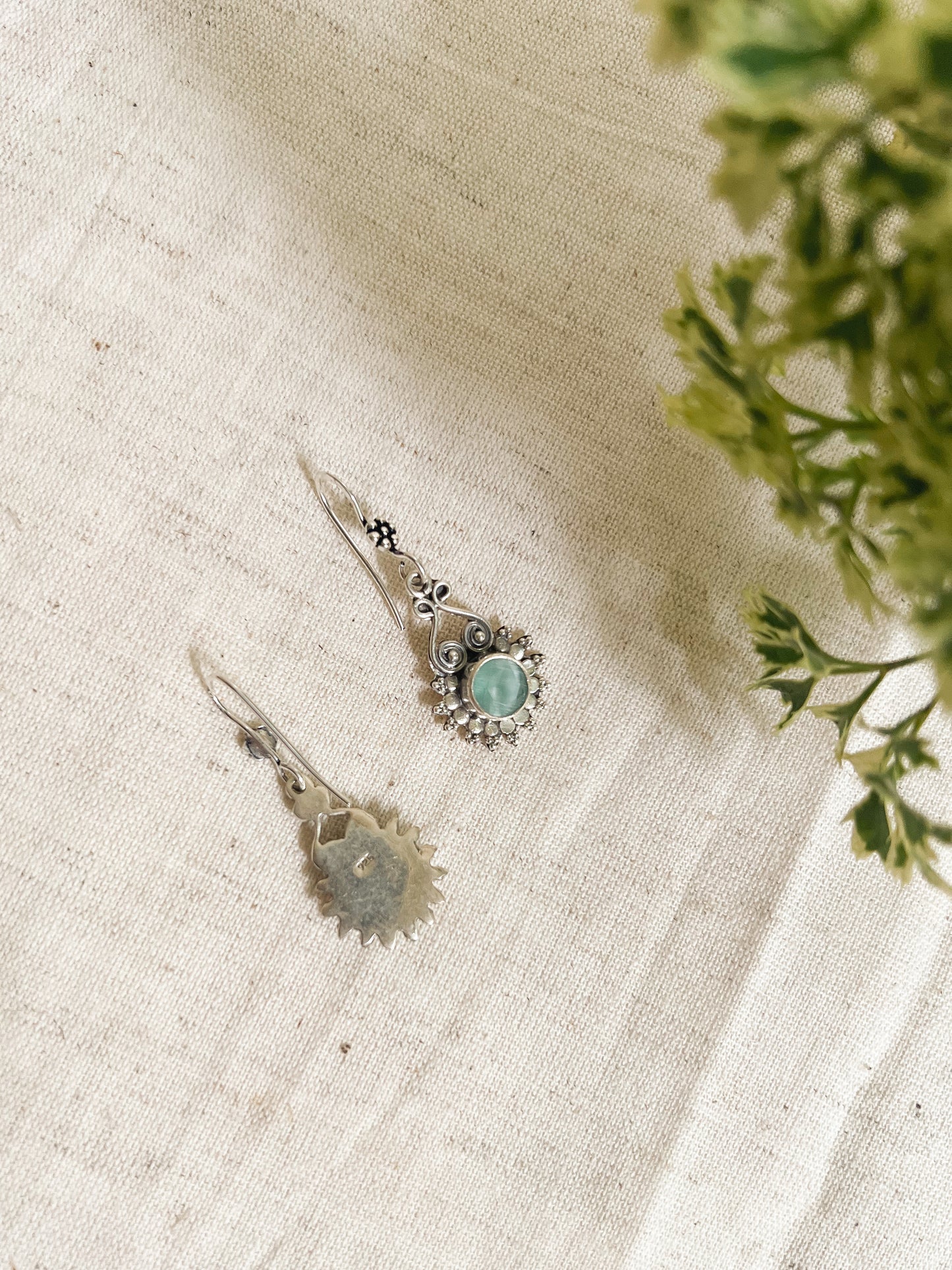 Aabha fishhook earrings in silver