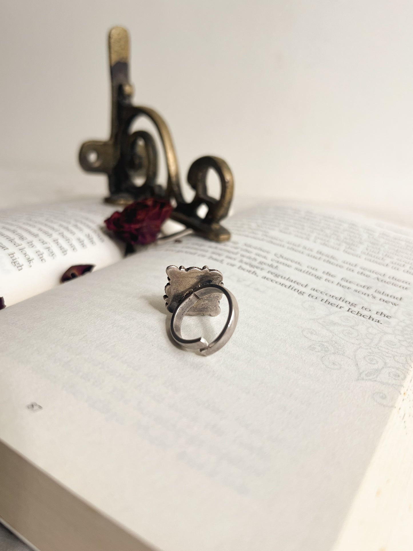 Brahma oxidised silver ring with moonstone (adjustable)