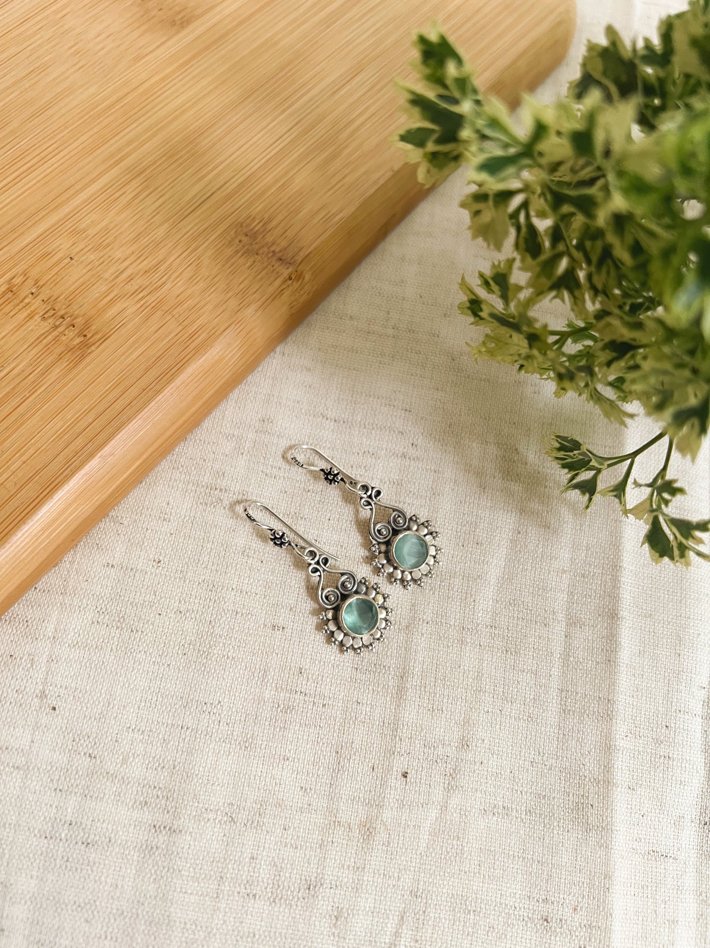 Aabha fishhook earrings in silver